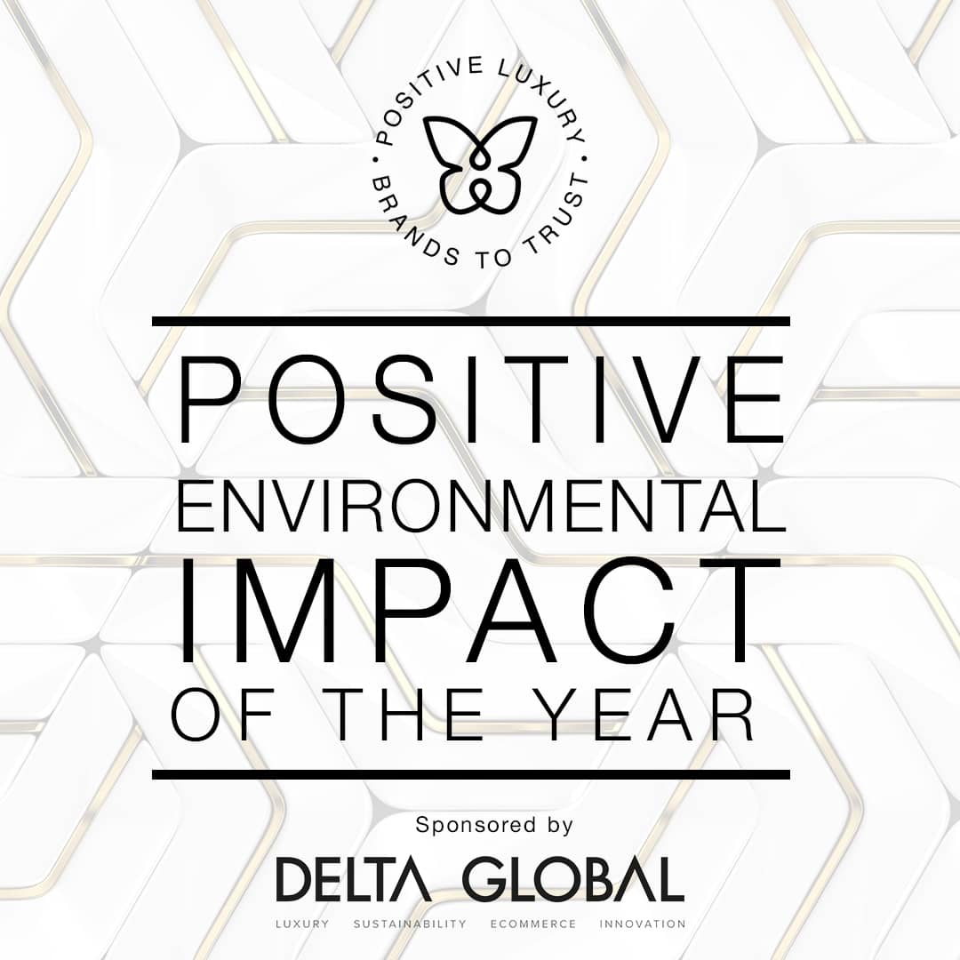 Delta Global positive environmental impact of the year award