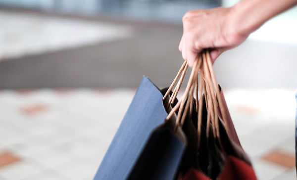 Person Holding Recycled Shopping Bags from Handles