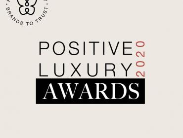 Delta Global Sponsor Positive Awards 2020