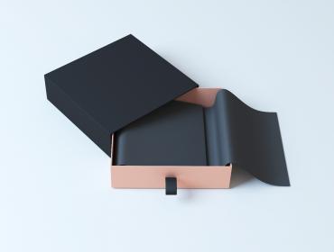 Open Bronze Box Packaging with Black Paper Inside and Black Sleeve